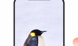 广州探店爆料视频下载,热门美食打卡地大盘点