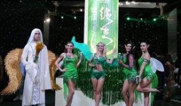 绿光派对爆料视频,精彩瞬间大揭秘！